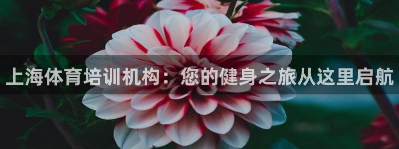 欧陆娱乐微信众：上海体育培训机构：您的健身之旅从这里
