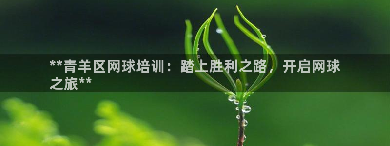 欧陆娱乐公司产品介绍怎么写：**青羊区网球培训：踏上