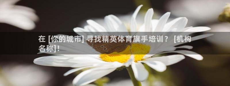 欧陆娱乐注册链接：在 [你的城市] 寻找精英体育旗手