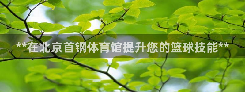 欧陆娱乐登录测速：**在北京首钢体育馆提升您的篮球技