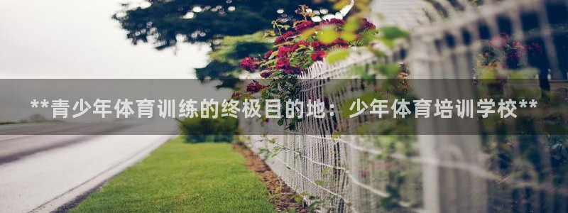 欧陆娱乐注册链接怎么弄的：**青少年体育训练的终极目