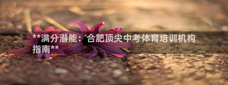 欧陆娱乐里面怎么看打排五：**满分潜能：合肥顶尖中考