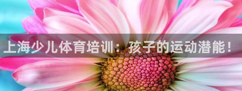 欧陆娱乐登陆官网：上海少儿体育培训：孩子的运动潜能！