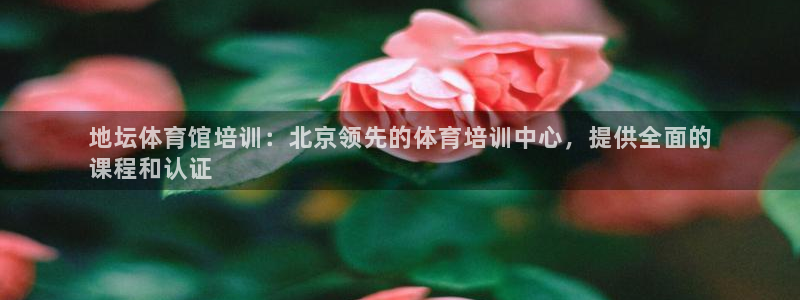 欧陆娱乐公司产品介绍：地坛体育馆培训：北京领先的体育