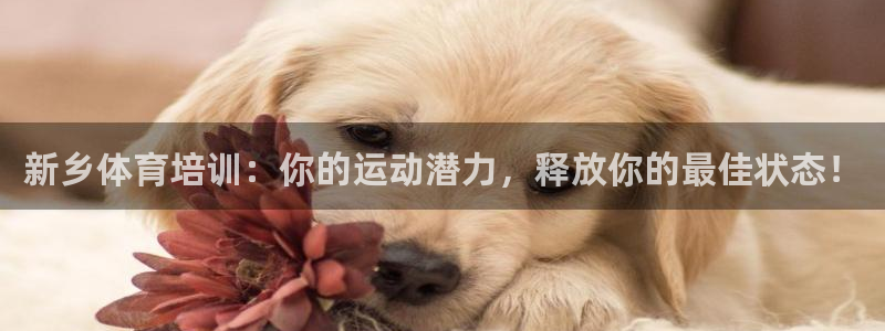 欧陆娱乐是正规平台吗安全吗可靠吗知乎：新乡体育培训：