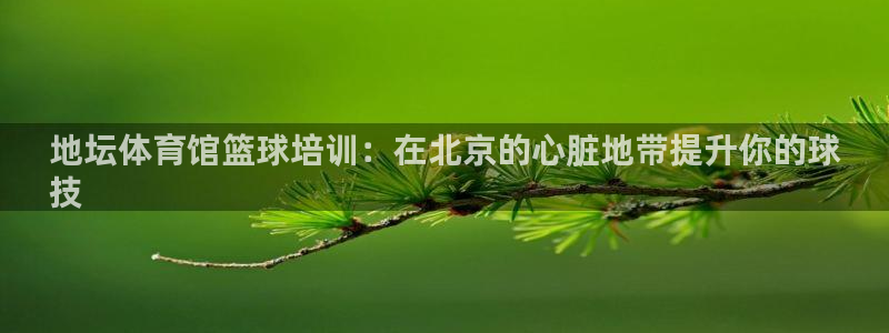 欧陆娱乐是那个旗下的品牌：地坛体育馆篮球培训：在北京