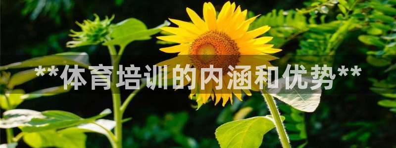 欧陆娱乐能赚钱吗现在：**体育培训的内涵和优势**