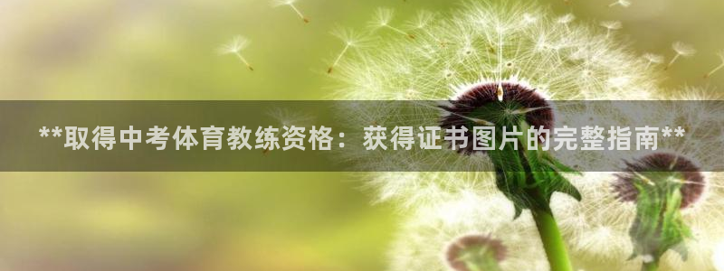 欧陆娱乐挂机怎么玩的：**取得中考体育教练资格：获得