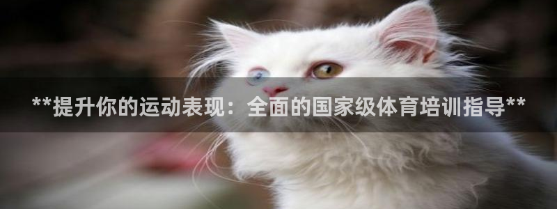 欧陆娱乐官方下载安装：**提升你的运动表现：全面的国