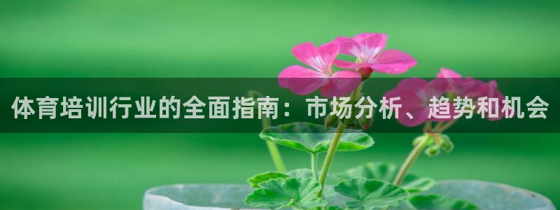 欧陆娱乐登录测速：体育培训行业的全面指南：市场分析、