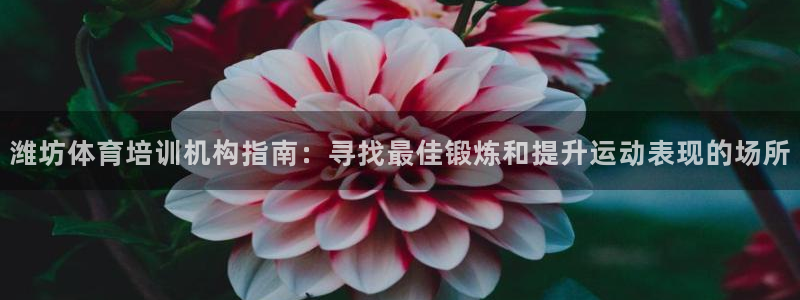欧陆娱乐代理多少个点位：潍坊体育培训机构指南：寻找最