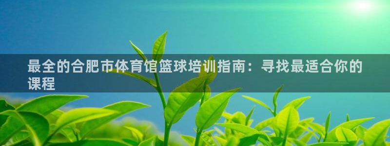 欧陆娱乐客服：最全的合肥市体育馆篮球培训指南：寻找最适合你的
