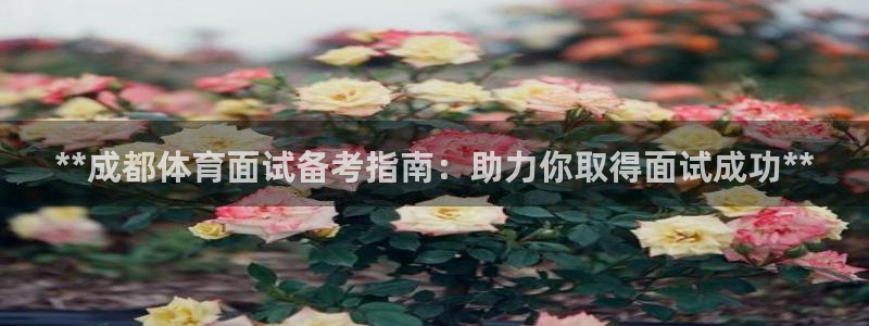 欧陆娱乐总代理是谁：**成都体育面试备考指南：助力你