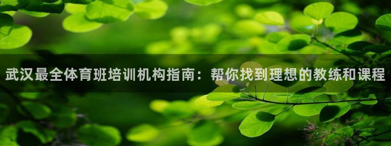 欧陆娱乐app打不开怎么回事儿：武汉最全体育班培训机
