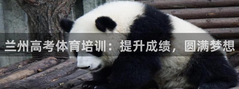 欧陆娱乐怎么注册会员账号：兰州高考体育培训：提升成绩，圆满梦
