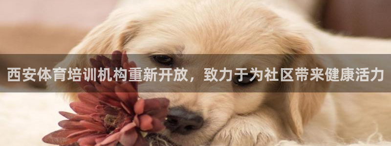 重庆欧陆娱乐有限公司地址：西安体育培训机构重新开放，