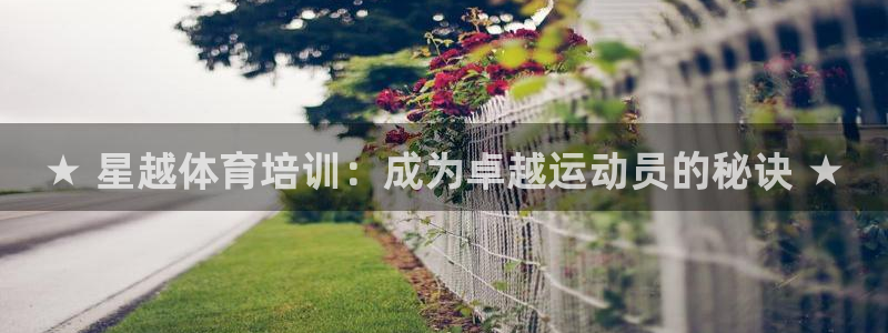 欧陆娱乐平台咋样赚钱快：★ 星越体育培训：成为卓越运