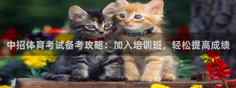 欧陆娱乐平台咋样啊：中招体育考试备考攻略：加入培训班
