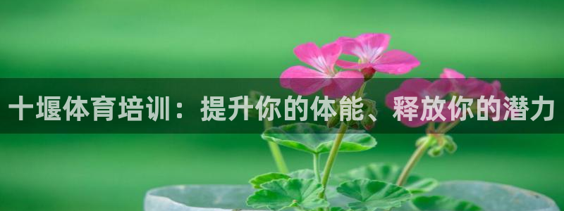 欧陆娱乐出款：十堰体育培训：提升你的体能、释放你的潜