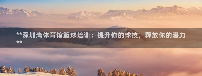 欧陆娱乐公司产品介绍怎么写：**深圳湾体育馆篮球培训