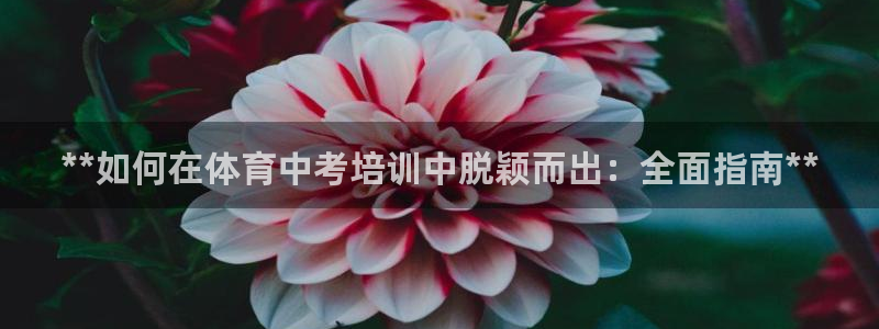 欧陆娱乐有限公司怎么样：**如何在体育中考培训中脱颖
