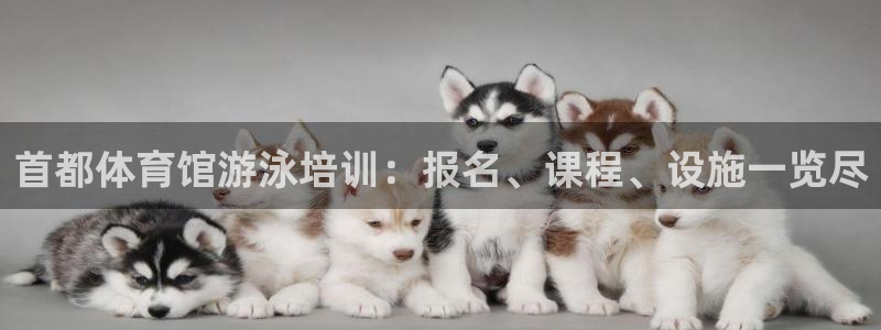 欧陆娱乐注册代理：首都体育馆游泳培训：报名、课程、设
