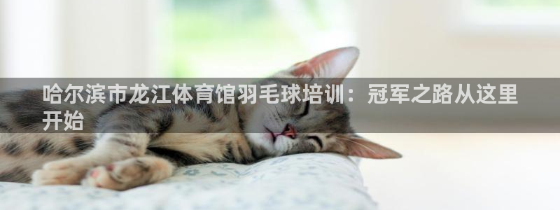 欧陆娱乐注册代理多少钱一个月：哈尔滨市龙江体育馆羽毛