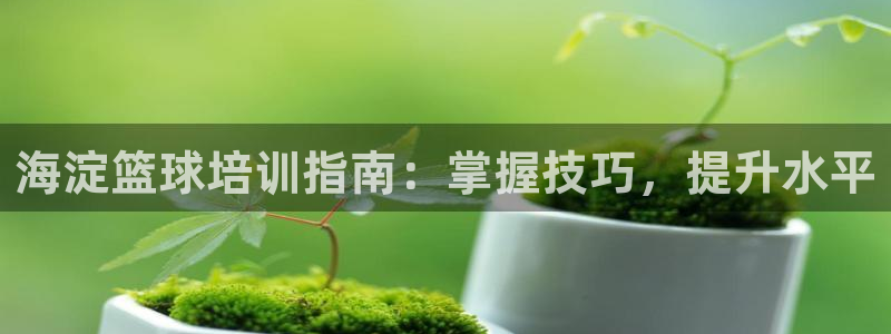 欧陆娱乐能赚钱吗：海淀篮球培训指南：掌握技巧，提升水