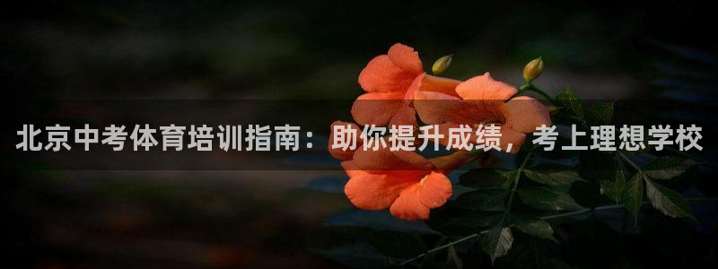 欧陆娱乐能不能玩：北京中考体育培训指南：助你提升成绩