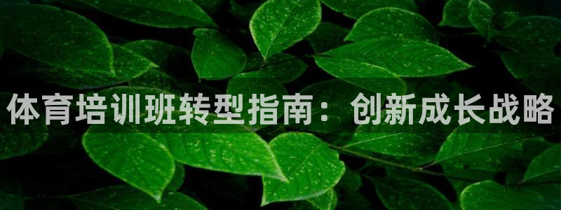 欧陆娱乐测试官网：体育培训班转型指南：创新成长战略