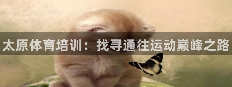 欧陆娱乐官网下载安装最新版本：太原体育培训：找寻通往