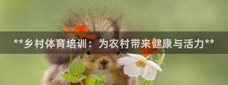 欧陆娱乐公司产品介绍：**乡村体育培训：为农村带来健
