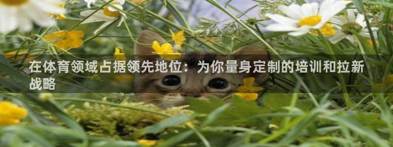 欧陆娱乐合法吗：在体育领域占据领先地位：为你量身定制的培训和