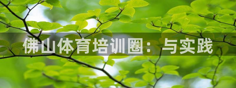 欧陆娱乐平台登录：佛山体育培训圈：与实践