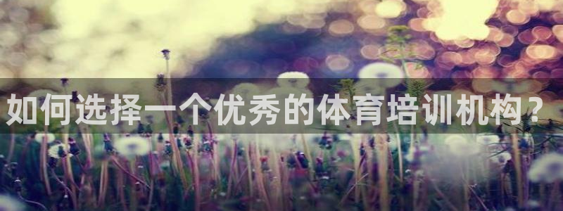 欧陆娱乐app打不开怎么回事儿：如何选择一个优秀的体