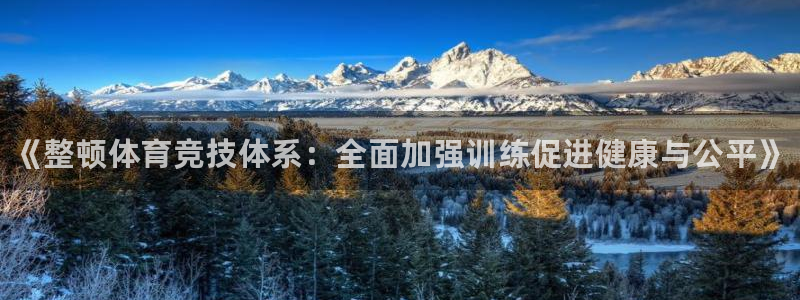 欧陆娱乐平台登陆地址是什么意思：《整顿体育竞技体系：