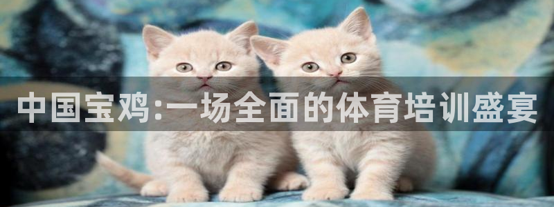 欧陆娱乐客服电话：中国宝鸡:一场全面的体育培训盛宴