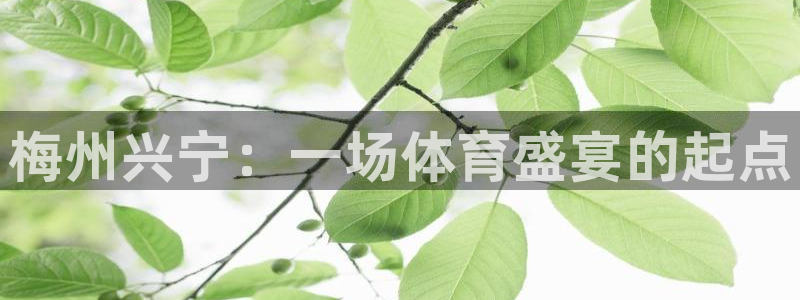 欧陆娱乐能赚钱吗现在：梅州兴宁：一场体育盛宴的起点