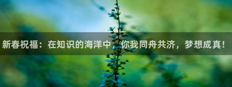 欧陆娱乐登录官网入口：新春祝福：在知识的海洋中，你我