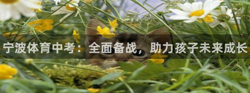 欧陆娱乐脚本怎么下载：宁波体育中考：全面备战，助力孩