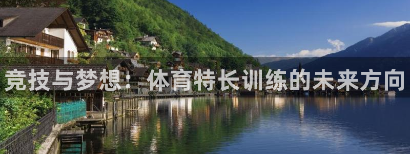 欧陆娱乐平台登陆地址在哪看：竞技与梦想：体育特长训练的未来方