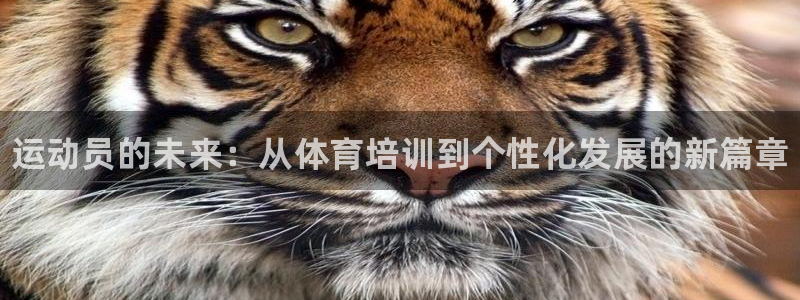 欧陆娱乐脚本怎么用：运动员的未来：从体育培训到个性化发展的新